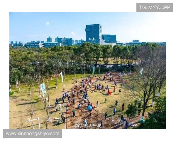 刘磊独家分享网球心得与技巧助你提升球技的全面指南