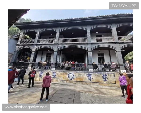 重庆乒乓球队的崛起之路与奋斗历程全景回顾