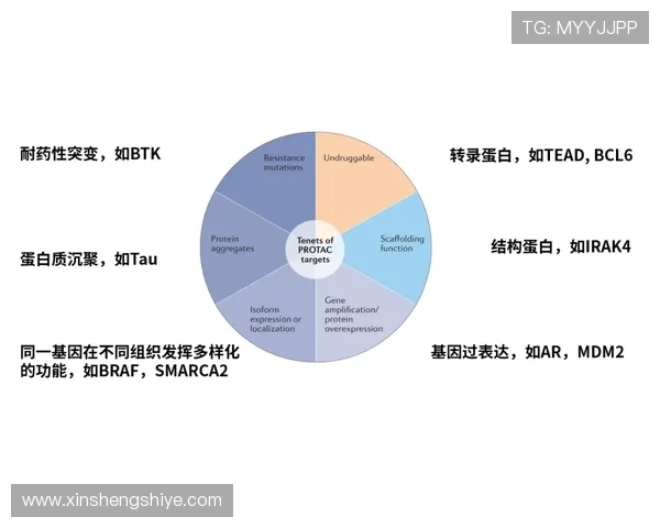 广州排球队灵活性探讨与战术创新的深度分析与展望